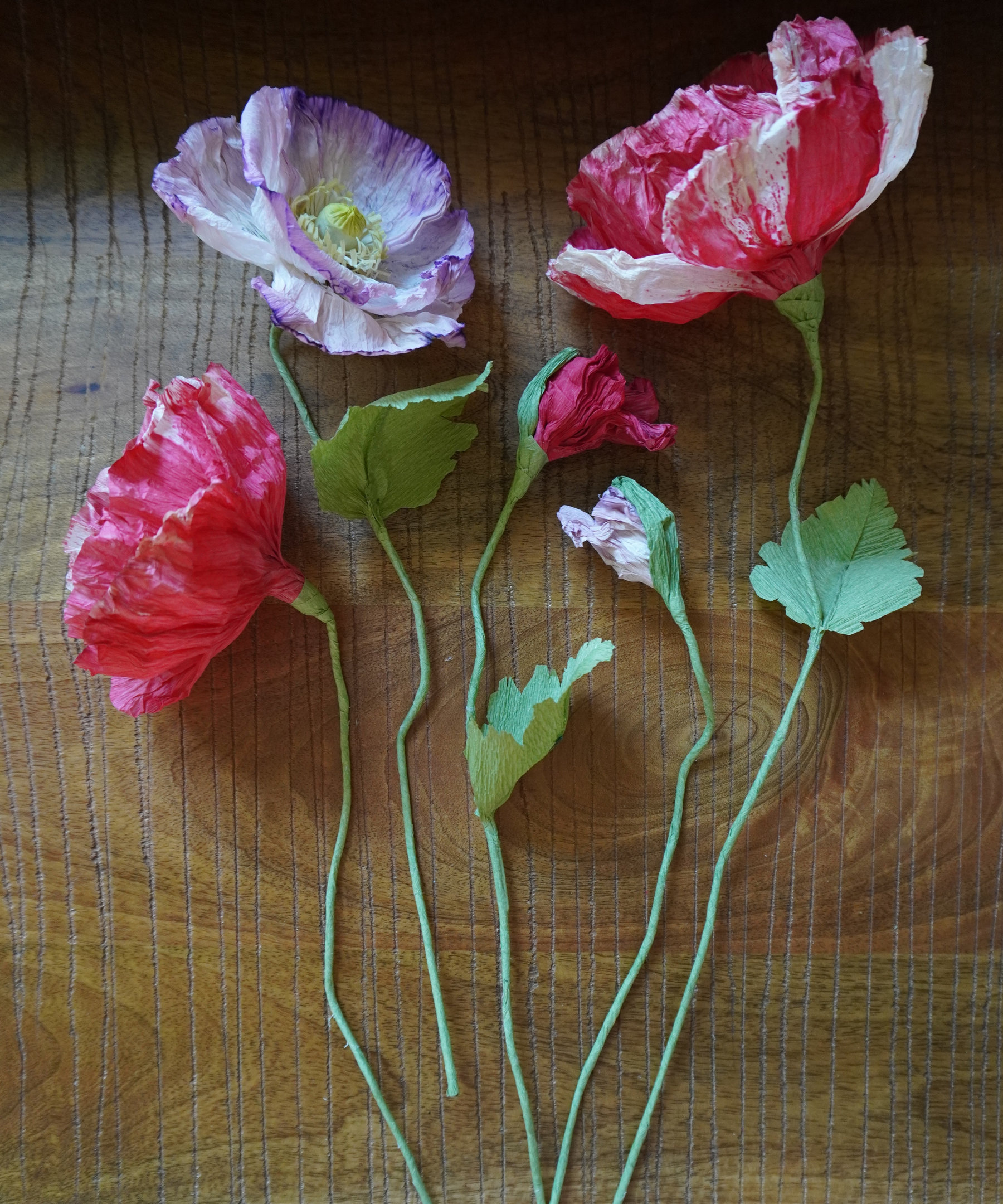 Kytice tulipánů